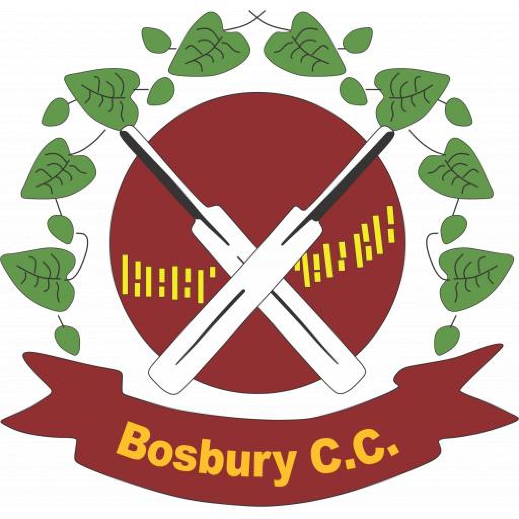 Bosbury CC.jpg