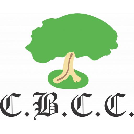 Colwyn Bay CC