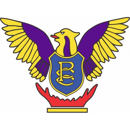 Panteg CC