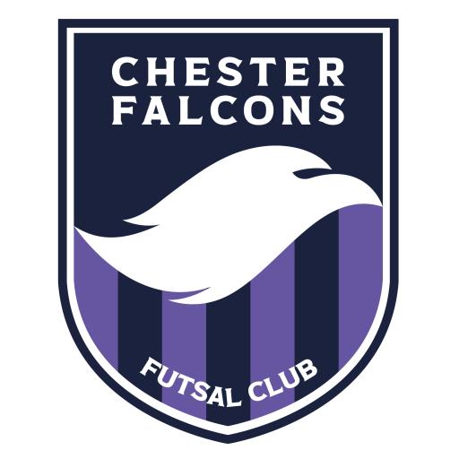 Chester Falcons Futsal