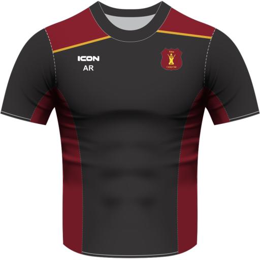 WELTON CRICKET CLUB T-SHIRT S/S - SENIOR