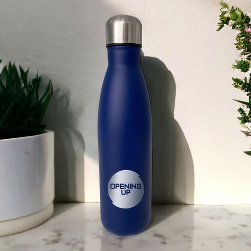 Opening Up Cricket Insulated Stainless Steel Flasks