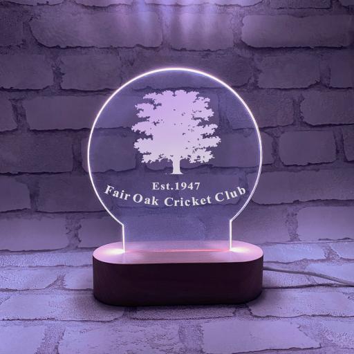 Fair Oak Cricket Club Lightbox – Multicoloured